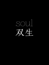 soul双生