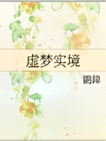 虚梦实境