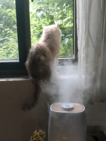 快穿：她是朵食人花
