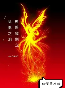 神兽金刚之凤凰之泪