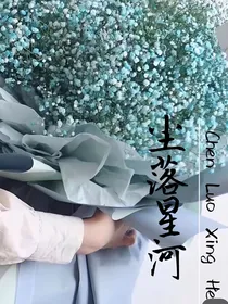 尘落星河