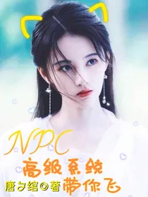 NPC：高级系统带你飞
