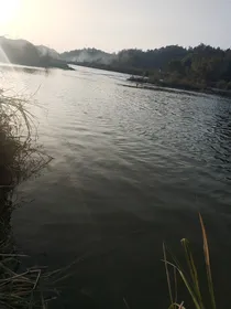 唢呐1234