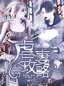 王琳凯：攻略