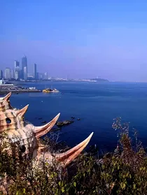 云别微风