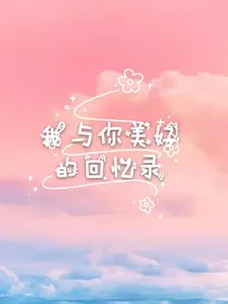 我与你美好的回忆录