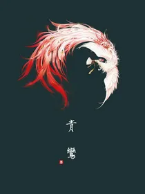千面邪妃