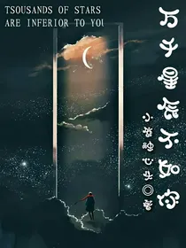 万千星辰不如你（言情）