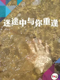 迷途中与你重逢