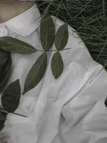 颠沛流离的温柔