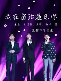 我在窗跆遇见你