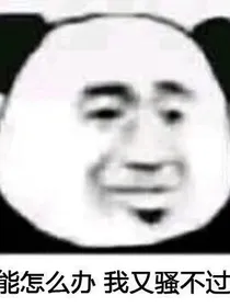 阁下星辰不可及