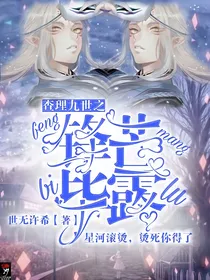 查理九世之锋芒毕露