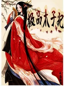 极品太子妃