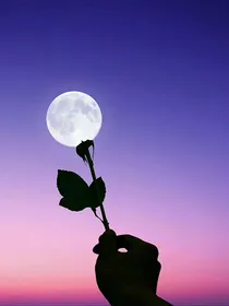喜羊羊与灰太狼之暗黑喜羊羊