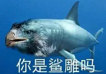 作者大大在线沙雕