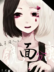 疯孑同人：镜面分离