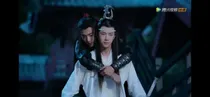 陈情令之执手浪天涯