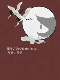 重生之师父是我白月光