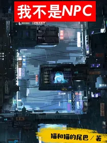 我不是NPC