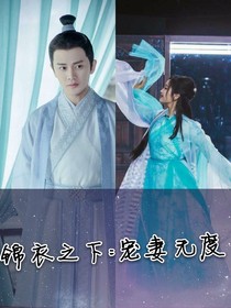 锦衣之下：宠妻无度