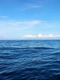 无海