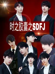 TF家族：时之胶囊之SDFJ