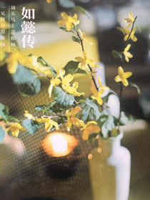 如懿传之落雪