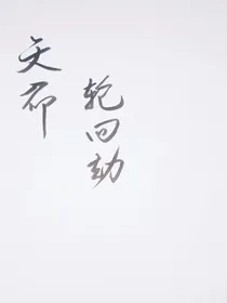 天命：轮回劫