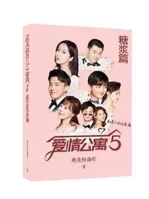 爱情公寓——糖浆篇