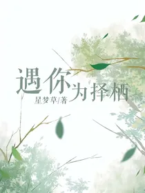 遇你为择栖