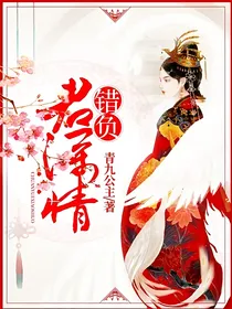 错负君深情