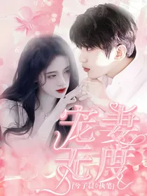 青春有你2：宠妻无度