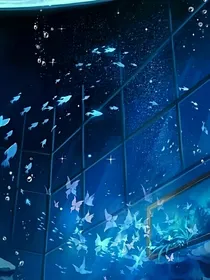 末世到来之重生之旅