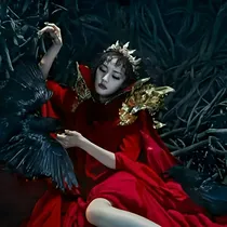 我愿为你倾城天下