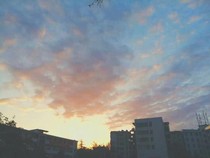 每日校园记