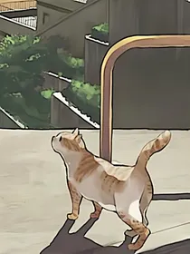 女巫来自旧时光