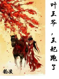 叶王爷，王妃跑了！