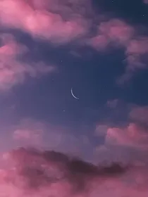 落花此时节