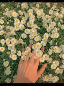 我在回忆里戒掉你