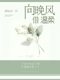 向晚风借温柔