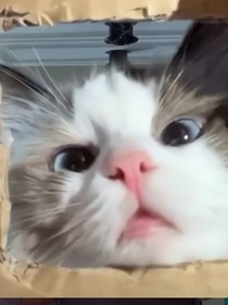请忽看！