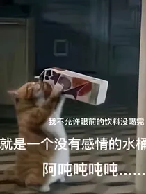 两国之宠