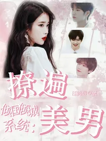 倾国倾城系统：撩遍美男
