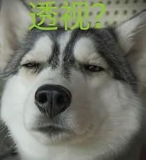 透视系统