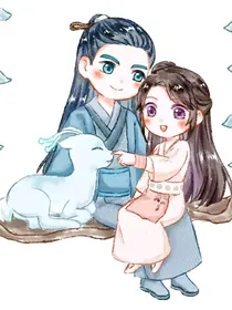 锦玉良缘之双世情
