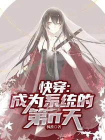 快穿：成为系统的第n天