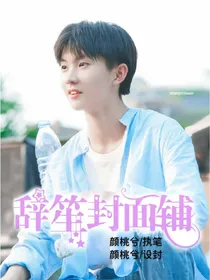 辞笙封面铺——d325