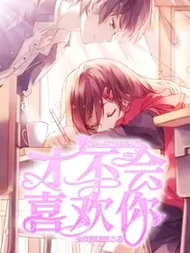 校园恶霸的爱：才不会喜欢你