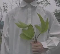 嘿，白衬衫